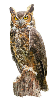 Madd Capp Puzzles – I Am Great Horned Owl Jigsaw Puzzle | 300 Pieces – completed puzzle