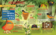 Madd Capp Puzzles – I Am Oriole Jigsaw Puzzle | 300 Pieces – educational Fun Facts insert