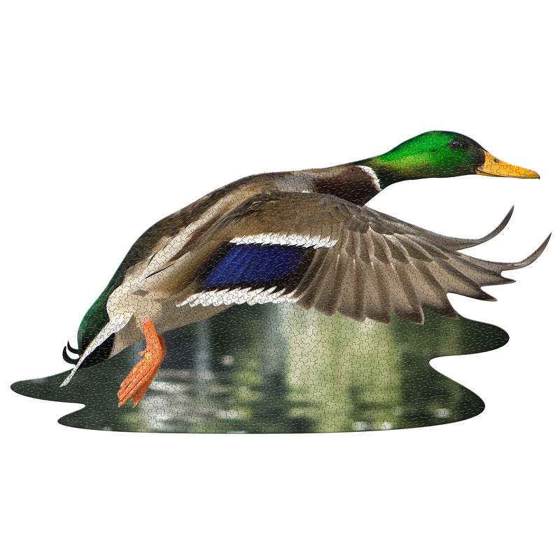 Madd Capp Puzzles – I Am Duck Jigsaw Puzzle | 1000 Pieces – completed puzzle
