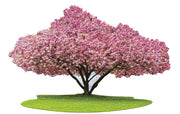 Madd Capp Puzzles – I Am Cherry Blossom Jigsaw Puzzle | 1000 Pieces – completed puzzle