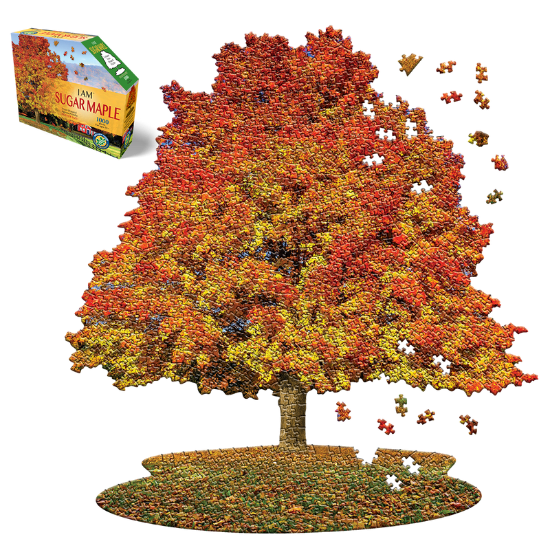 Madd Capp Puzzles – I Am Sugar Maple Jigsaw Puzzle | 1000 Pieces – puzzle and packaging
