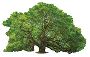 Madd Capp Puzzles – I Am Oak Jigsaw Puzzle | 1000 Pieces – completed puzzle