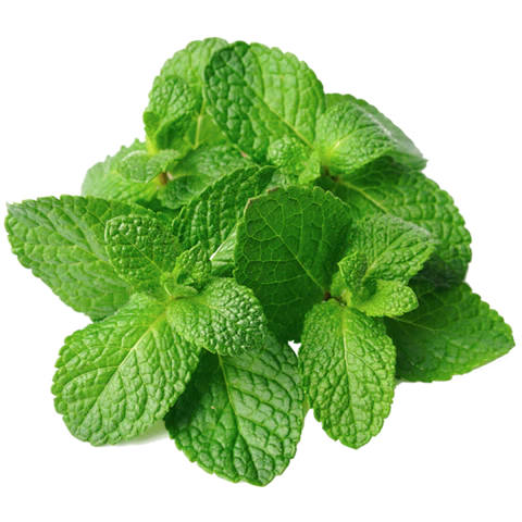 BCL Spa - Sugar Scrub Tingling Mint + CBD