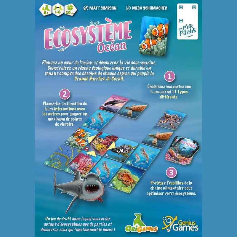 ÉCOSYSTÈME - OCÉAN