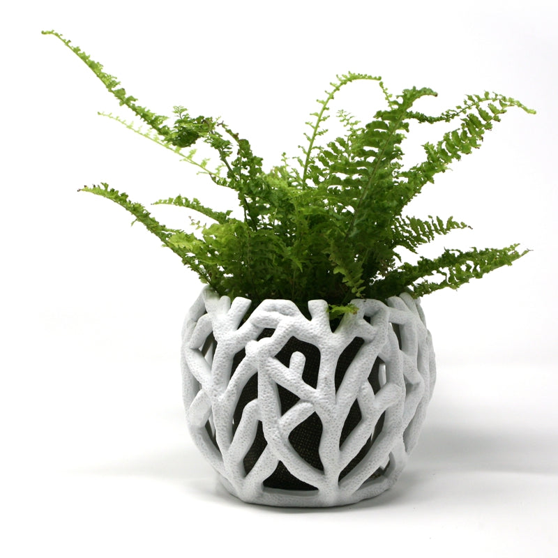 BIA - BRAKA Jardinière décorative