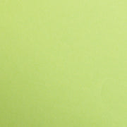 Maya Cardboard 120G moss green 25 sheets A4 (8.25 x 11.75 in)