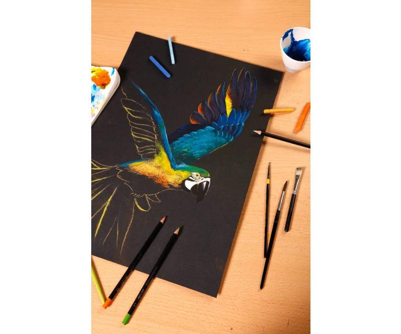 Paint'On Black 250G 10 sheets (7.8 x 10 in)
