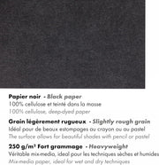 Painting On Multi Technic Black 250G  20 sheets A3 (11.7 x 16.5 in)