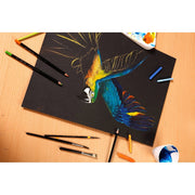 Painting On Multi Technic Black 250G  20 sheets A3 (11.7 x 16.5 in)