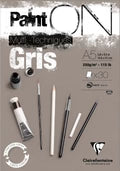 Clairefontaine - Paint'On Grey 250G 15 Sheets (19.7 x 25.6 In)