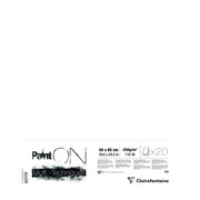 Paint'On White 250G 20 sheets (7.8 x 10 in)