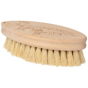 Now Designs - Large Veggie Brush