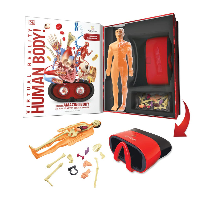 ABACUS - Virtual Reality - HUMAN BODY - Limolin 