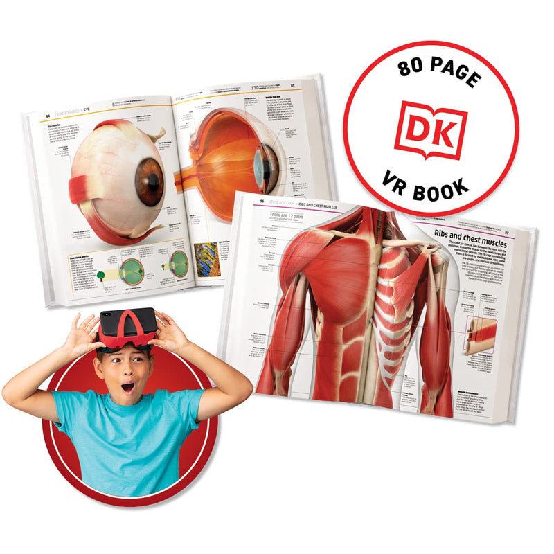 ABACUS - Virtual Reality - HUMAN BODY - Limolin 