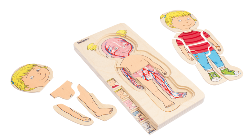 Beleduc - Body - Puzzle - Girl - Limolin 