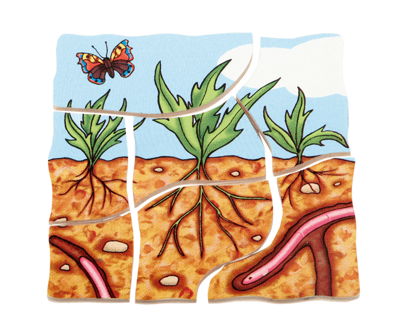 Beleduc - Layer Puzzle - Carrot - Limolin 