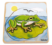 Beleduc - Layer Puzzle - Frog - Limolin 