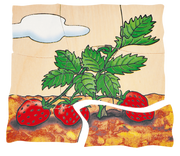 Beleduc - Layer Puzzle - Strawberry - Limolin 
