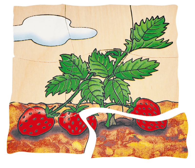 Beleduc - Layer Puzzle - Strawberry - Limolin 