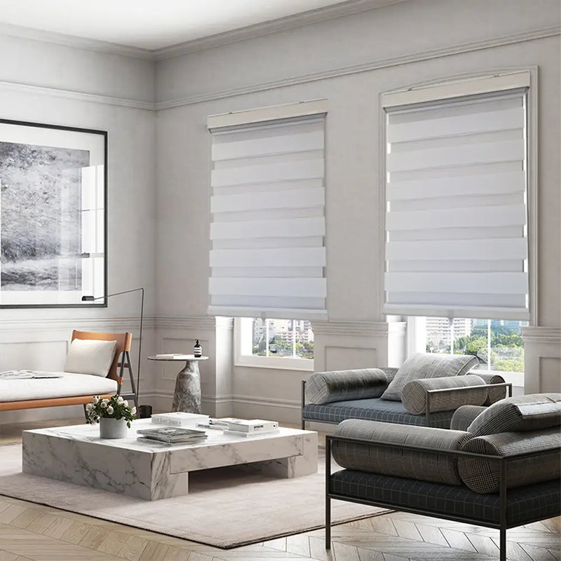 ITY Olivia Stone CDNW-1 Cordless Zebra Blind, 24 × 84 in, White