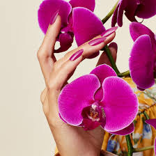CND - Vinylux Orchid Canopy 0.5 oz #407 In Fall Bloom Collection Fall 2022 - Limolin 