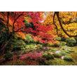 Clementoni - Autumn Park (1500-Piece Puzzle) - Limolin 