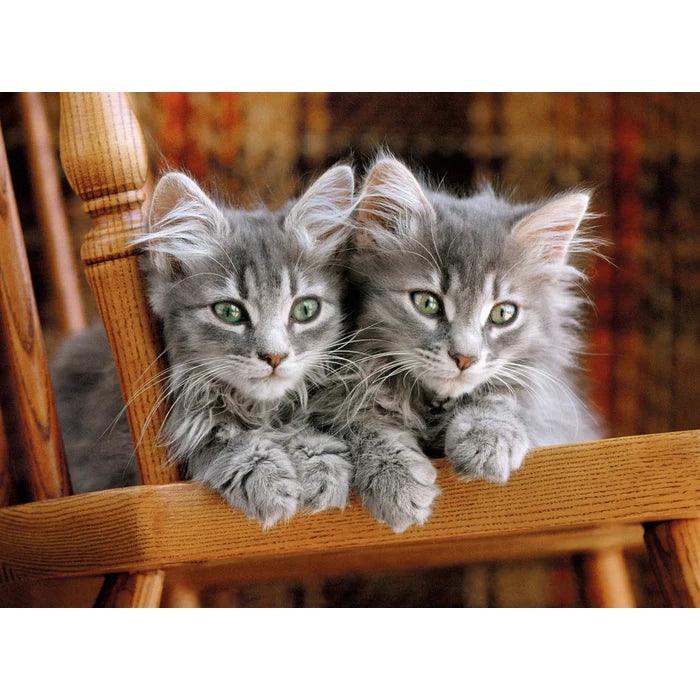 Clementoni - Kittens (500-Piece Puzzle) - Limolin 