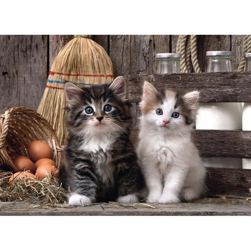 Clementoni - LOVELY KITTENS (1000-Piece Puzzle) - Limolin 