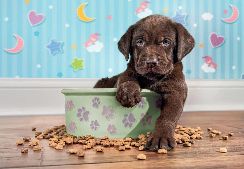 Clementoni - Lovely Puppy (180-Piece Puzzle) - Limolin 