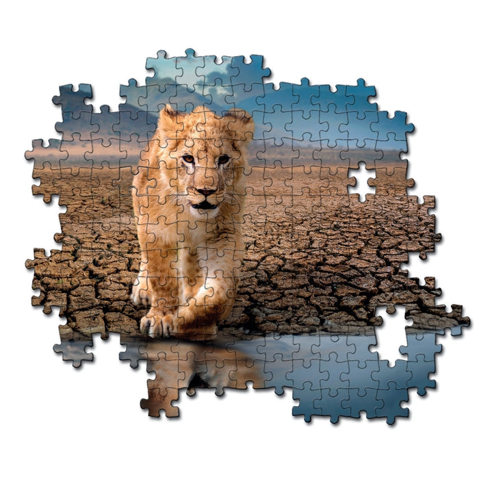 Clementoni - Self Reflection (300-Piece Puzzle) - Limolin 