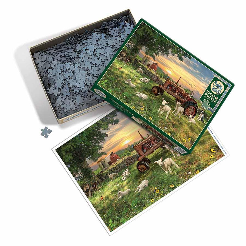 Cobble Hill - Field at Sunrise - Limolin 