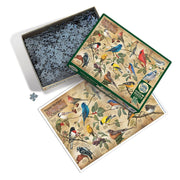 Cobble Hill - Popular Backyard Wild Birds of NA (1000-Piece Puzzle) - Limolin 