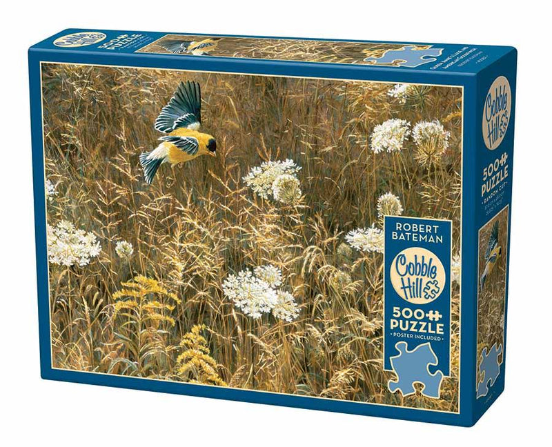 Cobble Hill - Queen Anne's Lace and American Goldfinch - Limolin 