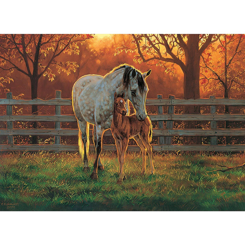 Cobble Hill - Quiet Time (500-Piece Puzzle) - Limolin 