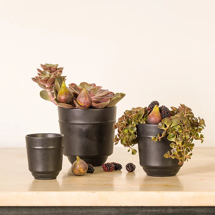 Costa Nova - Le Jardin Noir Cache Pot - Limolin 