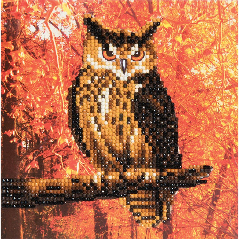 Crystal Art - Card - Autumn Owl - Limolin 