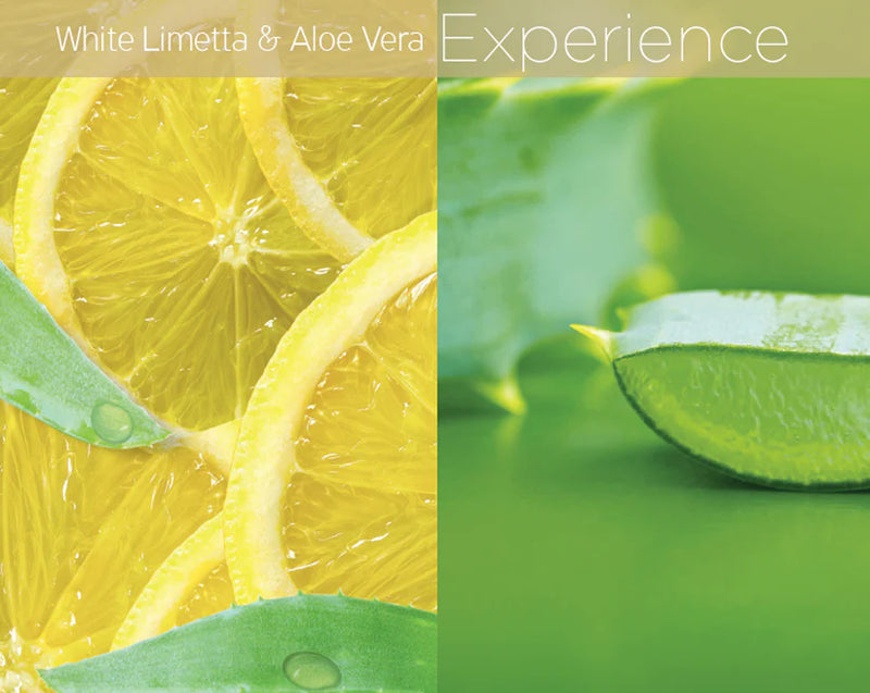 Cuccio - Lytes Ultra-Sheer Body Butter White Limetta & Aloe Vera (8Oz) - Limolin 