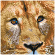 Serengeti Magic 38X38