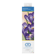 SPRING CROCUS (12.6" x 8.66" x 32cm x 22xm)