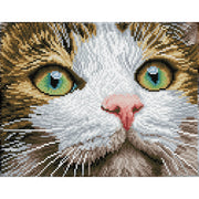 GREEN EYED BEAUTY (10" x 14" - 25.4cm x 35.5cm)