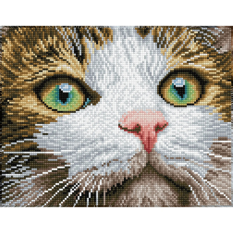 GREEN EYED BEAUTY (10" x 14" - 25.4cm x 35.5cm)