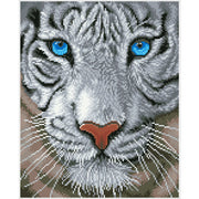 White Magic 50x42