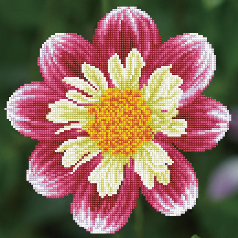 DIAMOND DOTZ - Daisy-A-Day - Limolin 