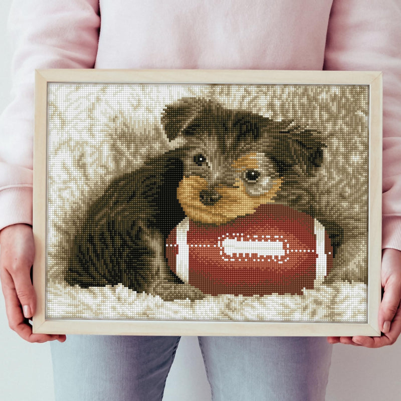 DIAMOND DOTZ - Footy Pup - Limolin 