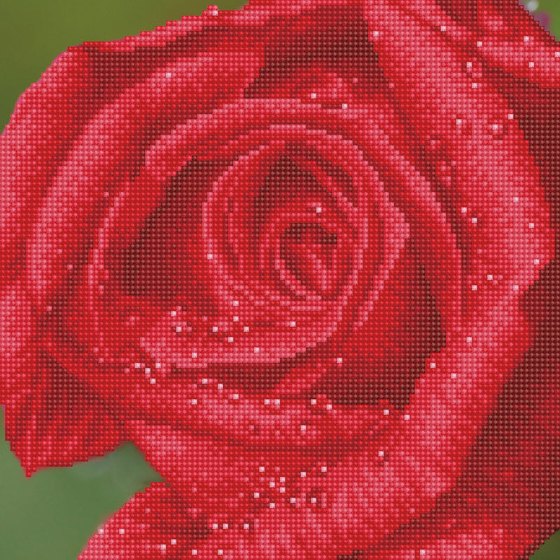 DIAMOND DOTZ - Rose Dew - Limolin 
