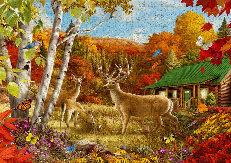 ENJOY - Somewhere in a Field (1000-Piece Puzzle) - Limolin 