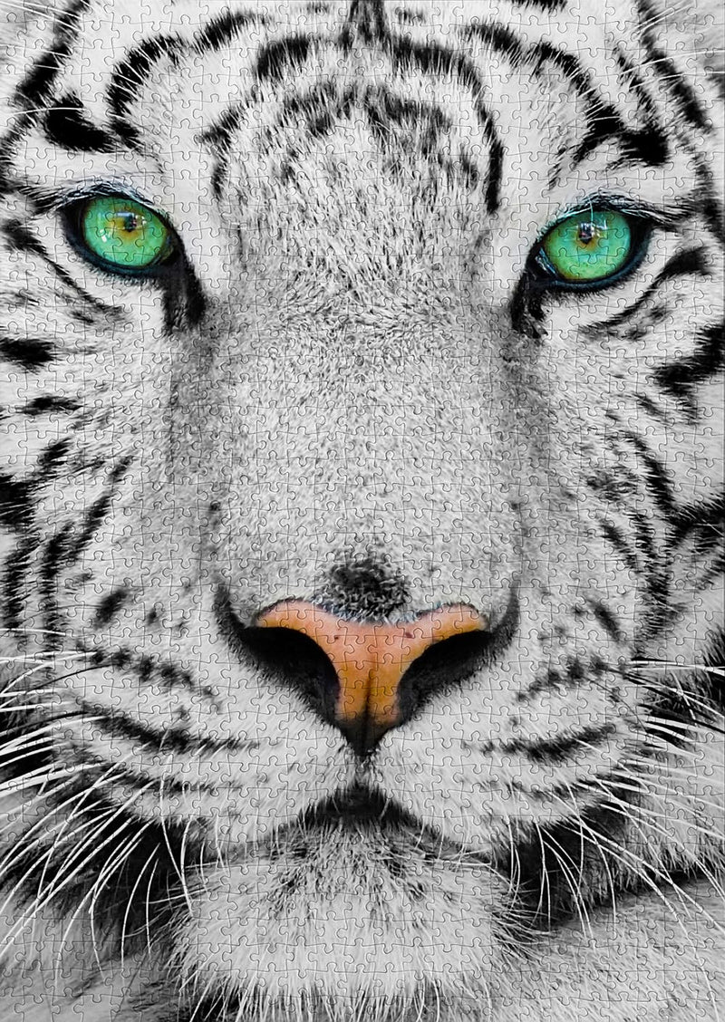 ENJOY - White Siberian Tiger (1000-Piece Puzzle) - Limolin 
