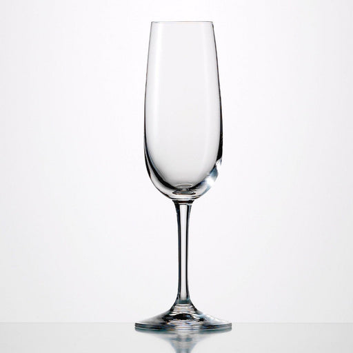 Eisch - Sensis Plus Vino Nobile Champagne Flute 77oz (Set of 6) - Limolin 