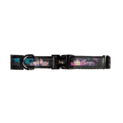LUG - Fetch Pet Collar and Leash Set