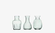 LSA - Mia - Mini Vase Trio (Set of 3) | H11 cm - detail or setting view